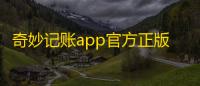 奇妙记账app官方正版下载下载 v1.1.1 人气热度：9℃